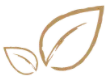 лого